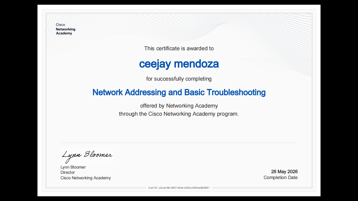 Networking Addressing